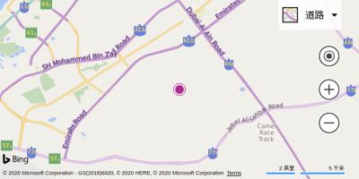 迪拜空军基地机场