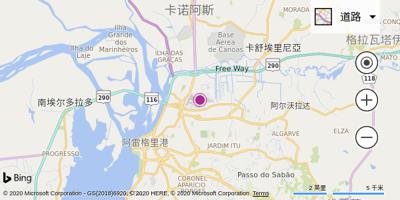 阿雷格里港机场