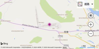 新西伯利亚机场