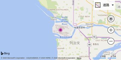 温哥华国际机场