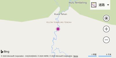 塔曼尼加拉机场