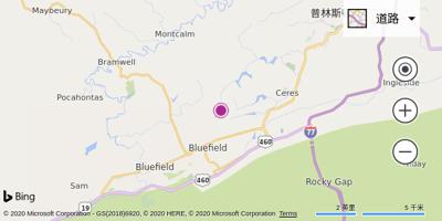 布卢菲尔德机场