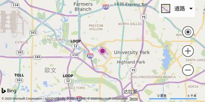 达拉斯爱田机场